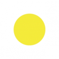 pigsiliconejaune.jpg