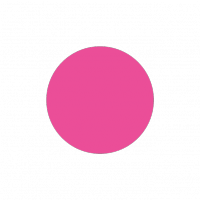 pink 0229.png